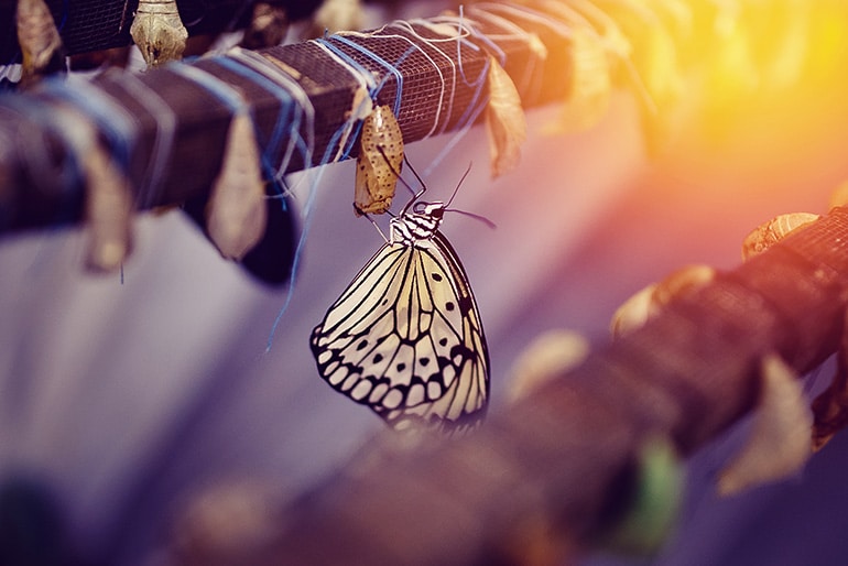 From No Action to Small Action - LifeBrief Blog