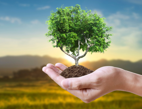 Tree of Life Approach to Making and Keeping Resolutions