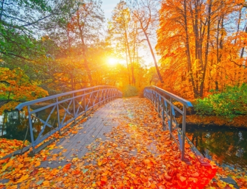 Seasons of Life: Autumnal Work
