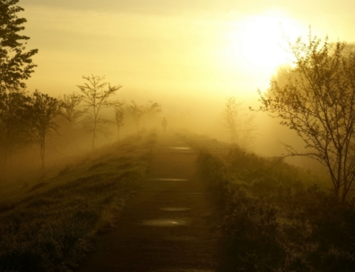 Welcoming the Uncertainty