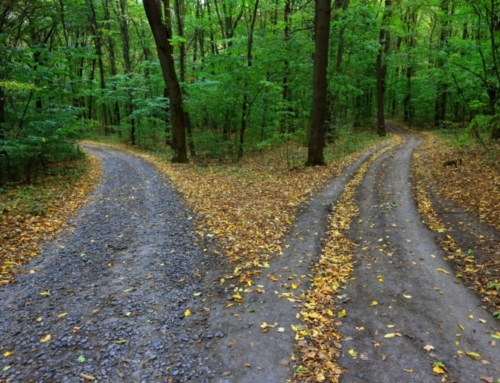 What Brought You Today Won’t Bring You Tomorrow